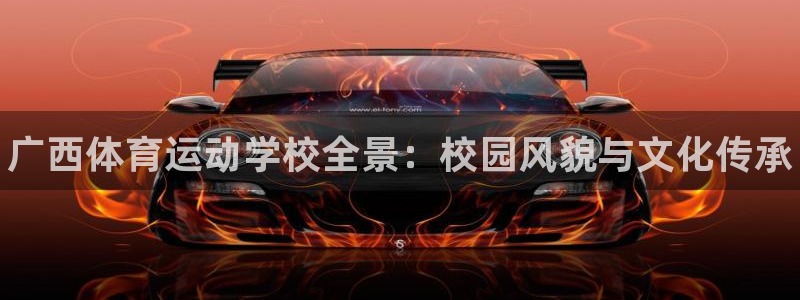 3377体育官方正版app娱乐首页网站大全