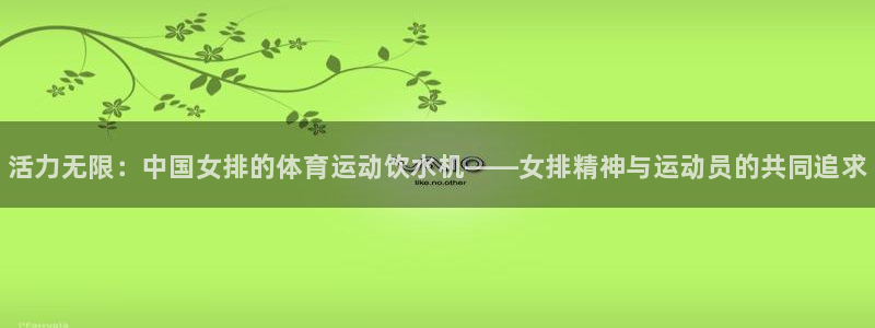 3377体育官网下载软件：活力无限：中国女排的体育运