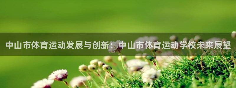 3377体育官方正版app集团：中山市体育运动发展与创新：中
