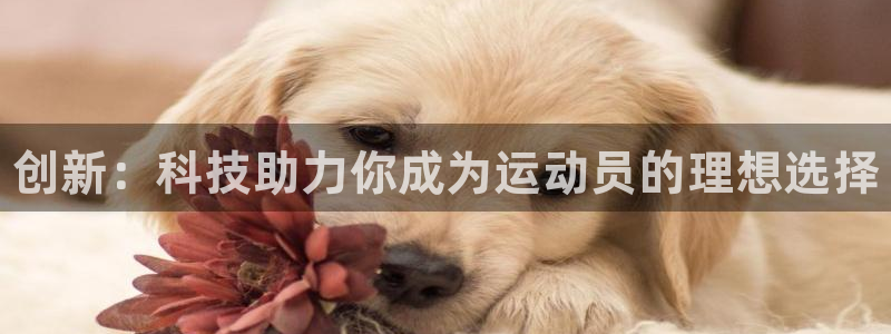 3377体育官网下载招商电话是多少：创新：科技助力你成为运动
