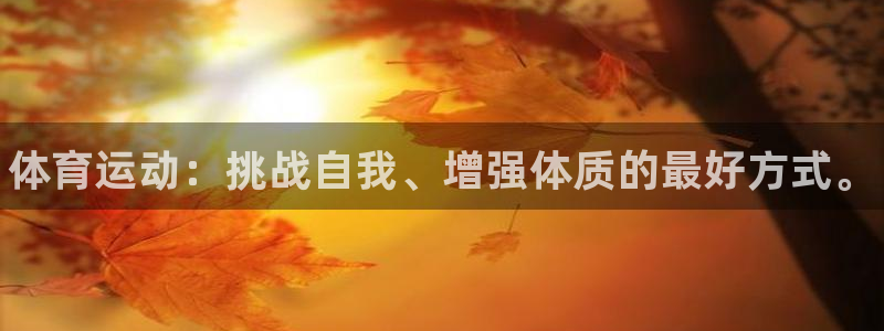 3377体育官方正版app集团