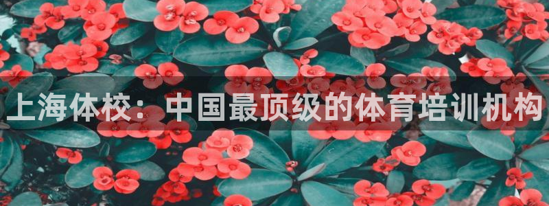 3377体育官方正版app娱乐平台