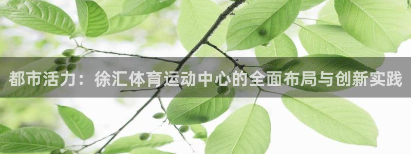 3377体育官方正版app集团官网网址：都市活力：徐汇体育运