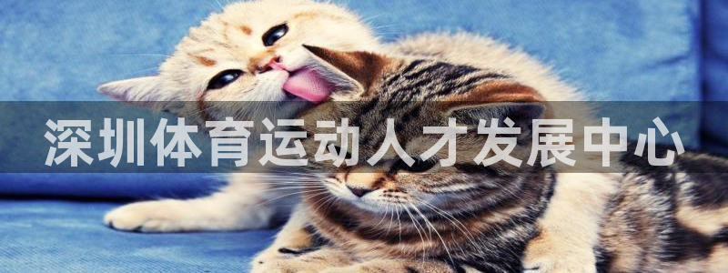 3377体育官网下载平台注册要钱吗：深圳体育运动人才