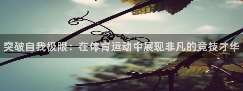 3377体育官方正版app代理
