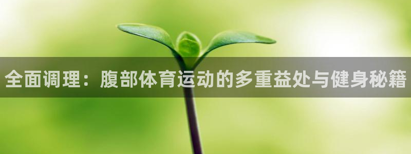 3377体育官网下载娱乐