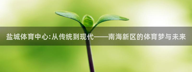 3377体育官方正版app娱乐平台：盐城体育中心:从