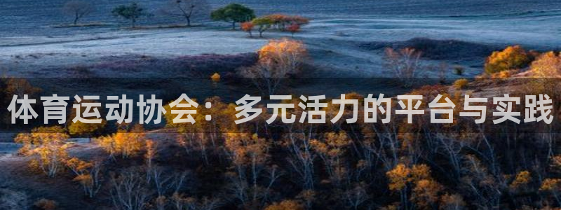 3377体育官方正版app娱乐是那个系列的台子：体育运动协会