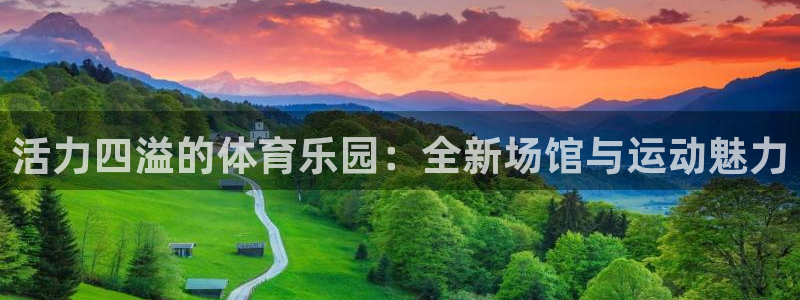 3377体育官方正版app娱乐首页官网下载：活力四溢的体育乐