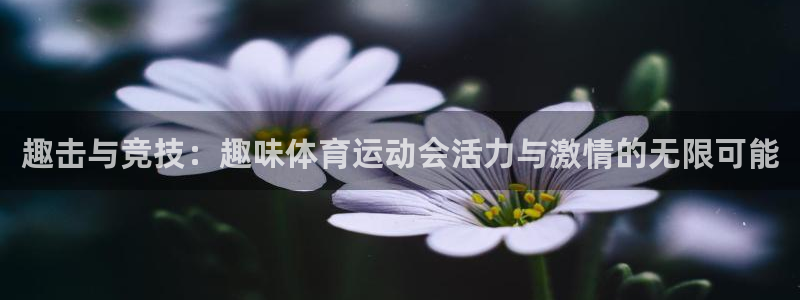 3377体育官网下载招商电话号码查询：趣击与竞技：趣味体育运