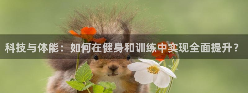3377体育官方平台体育：科技与体能：如何在健身和训练中实现