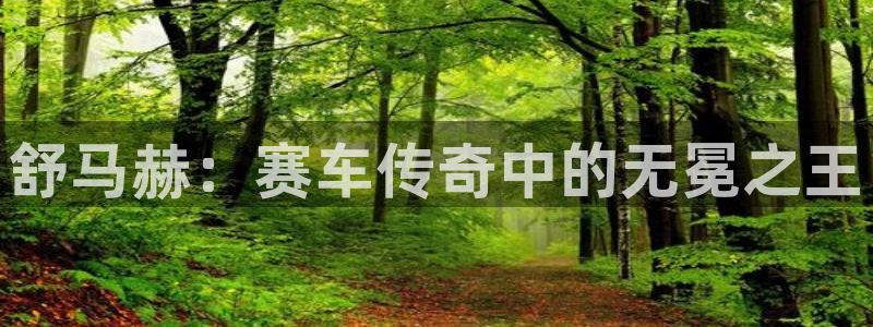 3377体育官网下载招商：舒马赫：赛车传奇中的无冕之