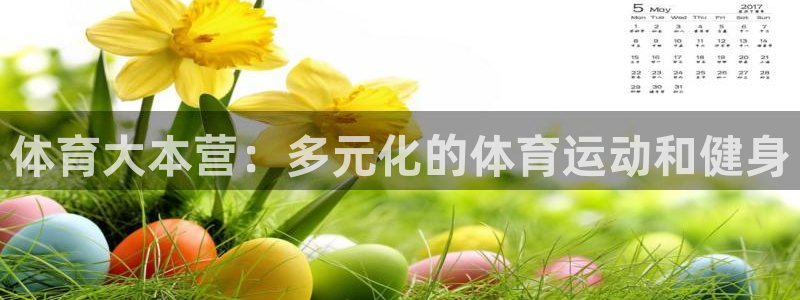 3377体育官网下载是干嘛的公司