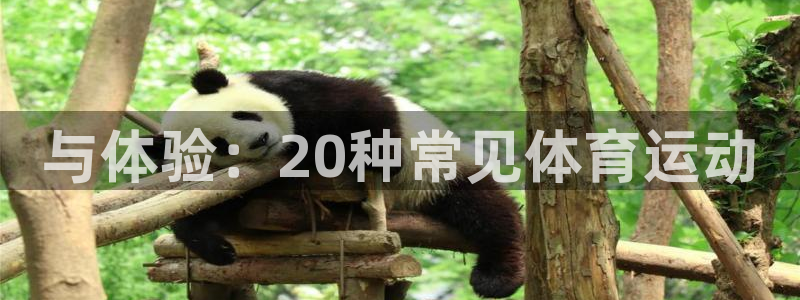 3377体育官网下载招商电话号码是多少号：与体验：20种常见
