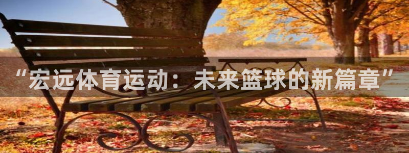 3377体育官网下载平台是正规平台吗：“宏远体育运动：未来篮