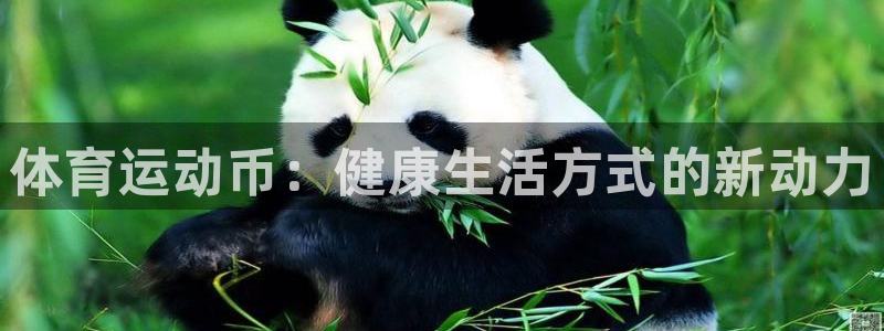 3377体育官方正版app娱乐平台：体育运动币：健康生活方式