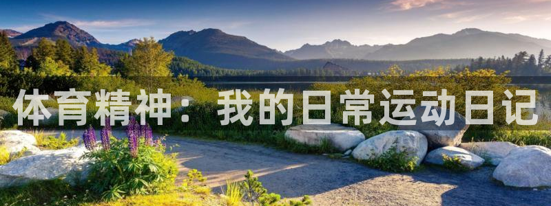 3377体育官方正版app官方：体育精神：我的日常运动日记