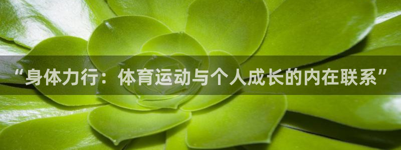 3377体育中国官方网站入口：“身体