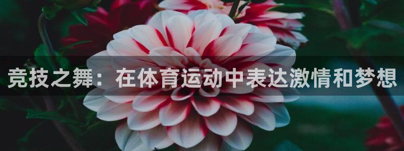 3377体育被国家取消了吗今天：竞技