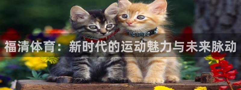 3377体育游戏：福清体育：新时代的运动魅力与未来脉动