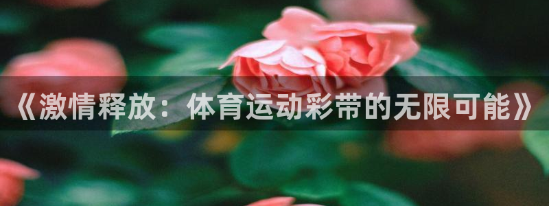  3377体育为什么提不出来：《激情释放：体育运动彩带的无限可