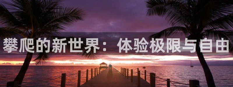 3377体育退款：攀爬的新世界：体验极限与自由
