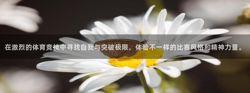 3377体育手机平台：在激烈的体育竞