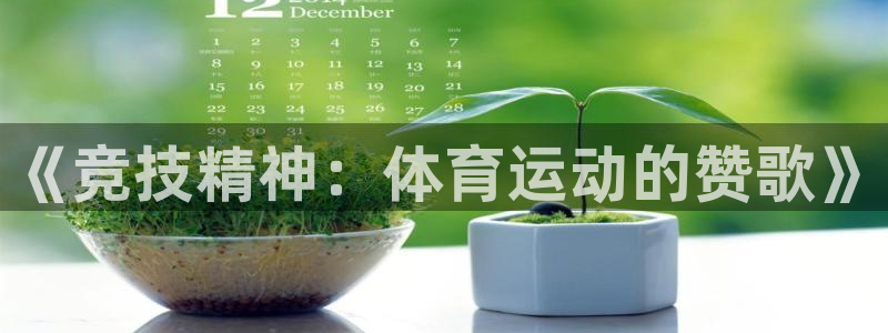  3377体育能爆吗：《竞技精神：体育运动的赞歌》
