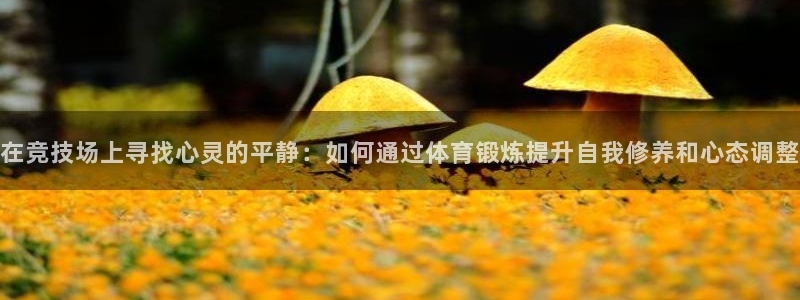 3377体育是正规平台吗：在竞技场上