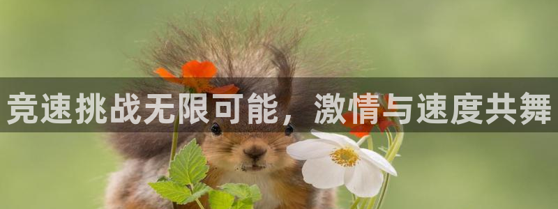 3377体育被国家取消了吗今天：竞速