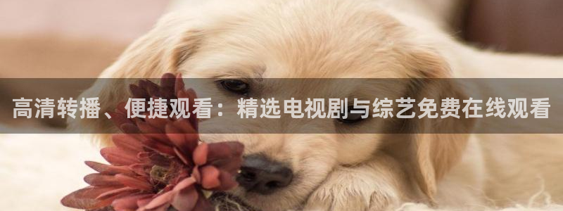 黑白体育直播在线观看：高清转播、便捷观看：精选电视剧与综艺免费在线观看