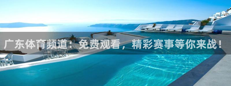 黑白体育直播免费观看：广东体育频道：免费观看，精彩赛事等你来战！