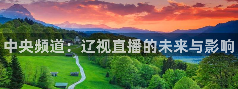 nba黑白在线直播：中央频道：辽视直播的未来与影响