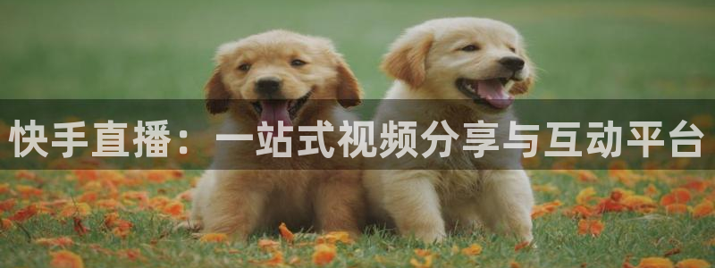 黑白体育在线直播免费观看nba：快手直播：一站式视频分享与互动平台