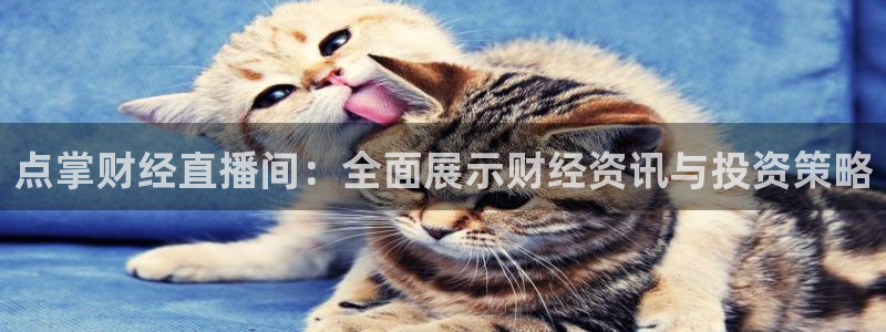 黑白nba直播免费观看：点掌财经直播间：全面展示财经资讯与投资策略