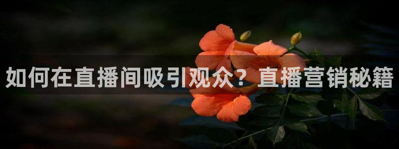 黑白直播jrs直播：如何在直播间吸引观众？直播营销秘籍