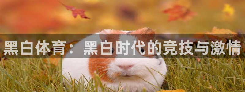 黑白免费足球直播：黑白体育：黑白时代的竞技与激情