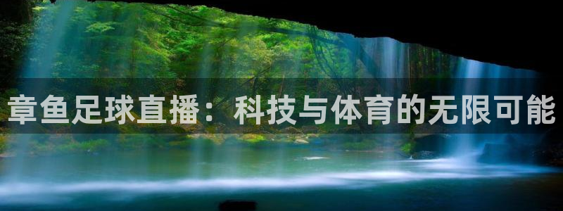 旧版黑白直播体育app下载：章鱼足球直播：科技与体育的无限可能