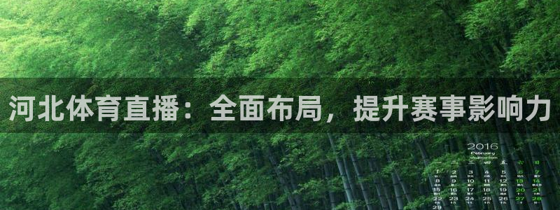 黑白直播jrs直播nba：河北体育直播：全面布局，提升赛事影响力
