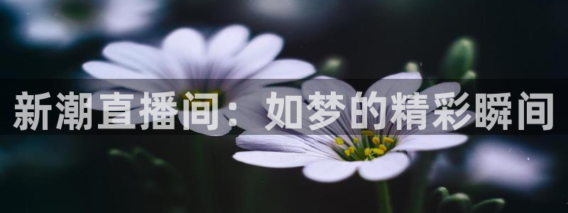 黑白足球直播下载：新潮直播间：如梦的精彩瞬间