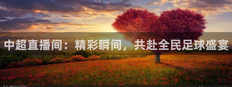 nba免费黑白直播：中超直播间：精彩瞬间，共赴全民足球盛宴